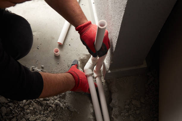 Best Clogged Drain Plumber  in The Crossings, FL