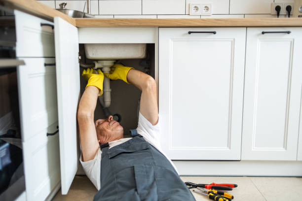 Best Same-Day Plumbing Service  in The Crossings, FL