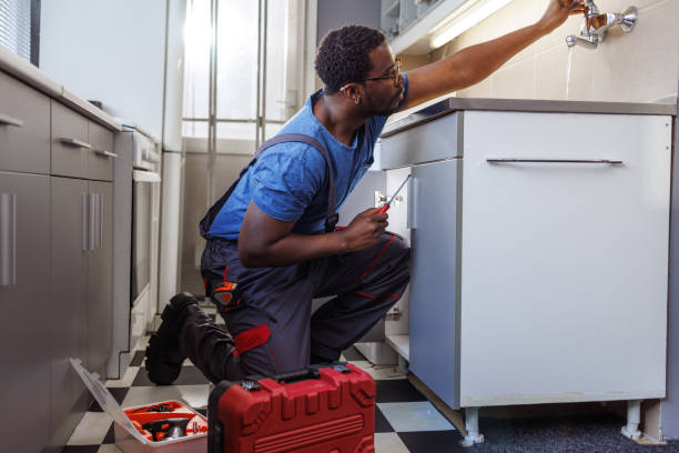 Best Plumbing Inspection Services  in The Crossings, FL